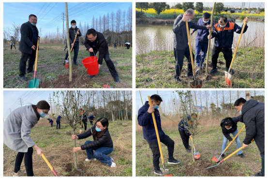 交通产业upay钱包官网如皋港板块召开“春风又绿江岸，绿色开展同行”主题党日活动
